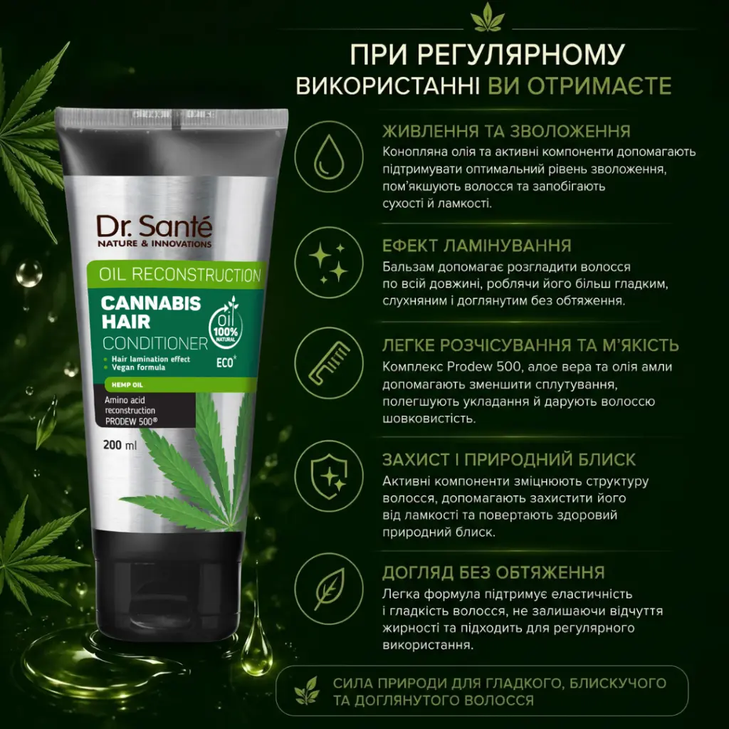 Картинка 5.webp