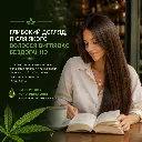 Картинка 8.webp