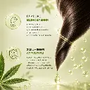 Картинка 6.webp
