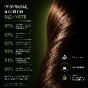 Картинка 7.webp